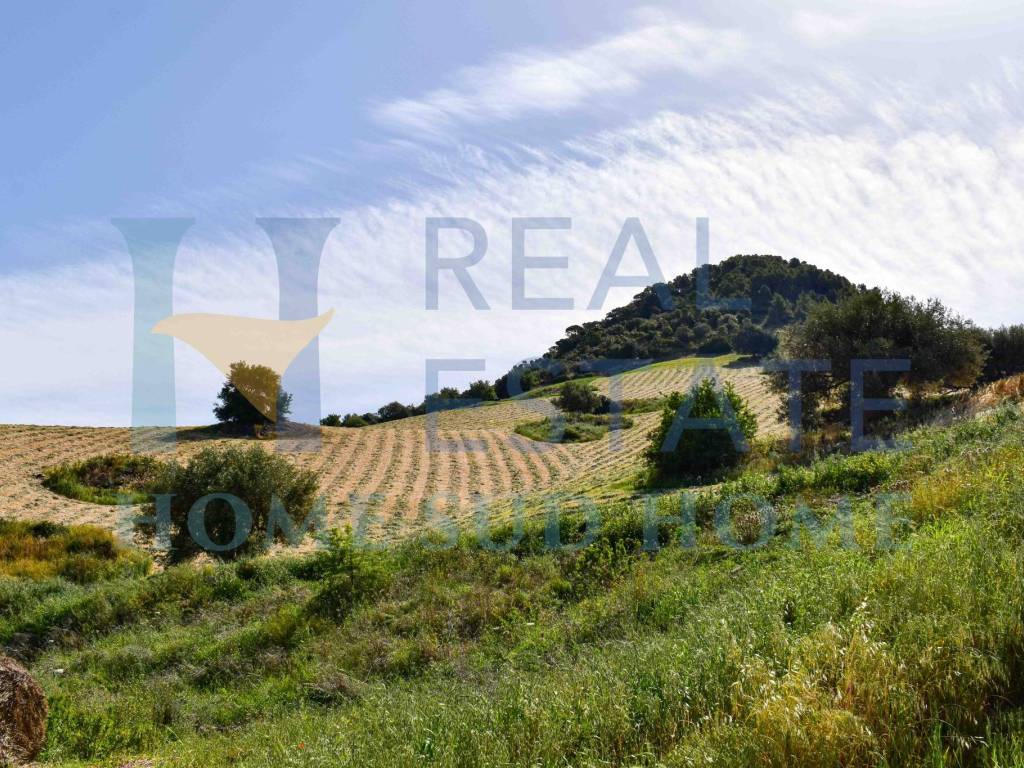 Villa a Noto in Via Tommaso Fazello, 228 - Foto 4