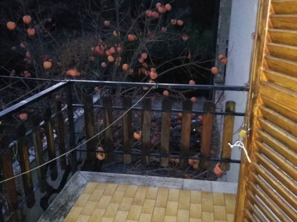 Appartamento a San paolo di jesi in Piazza Domenico Ricci, 3 - Foto 2