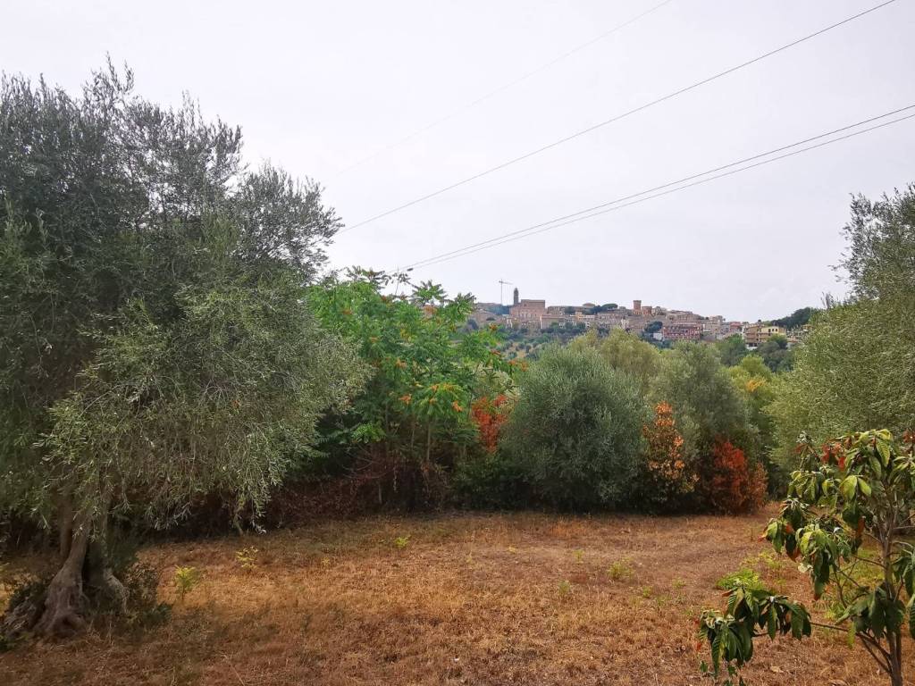 Rustico / casale a Civitanova marche in Strada Provinciale Monte Polverino - Foto 2