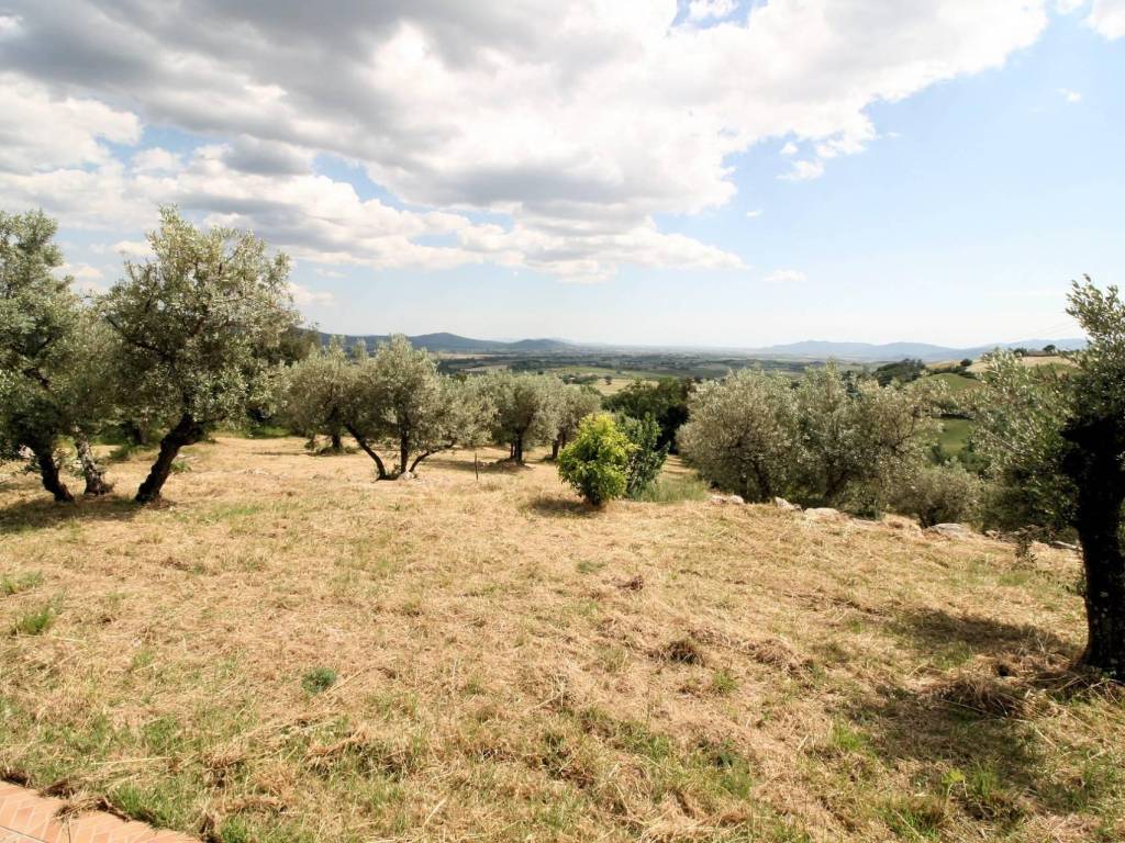 Rustico / casale a Roccastrada - Foto 3