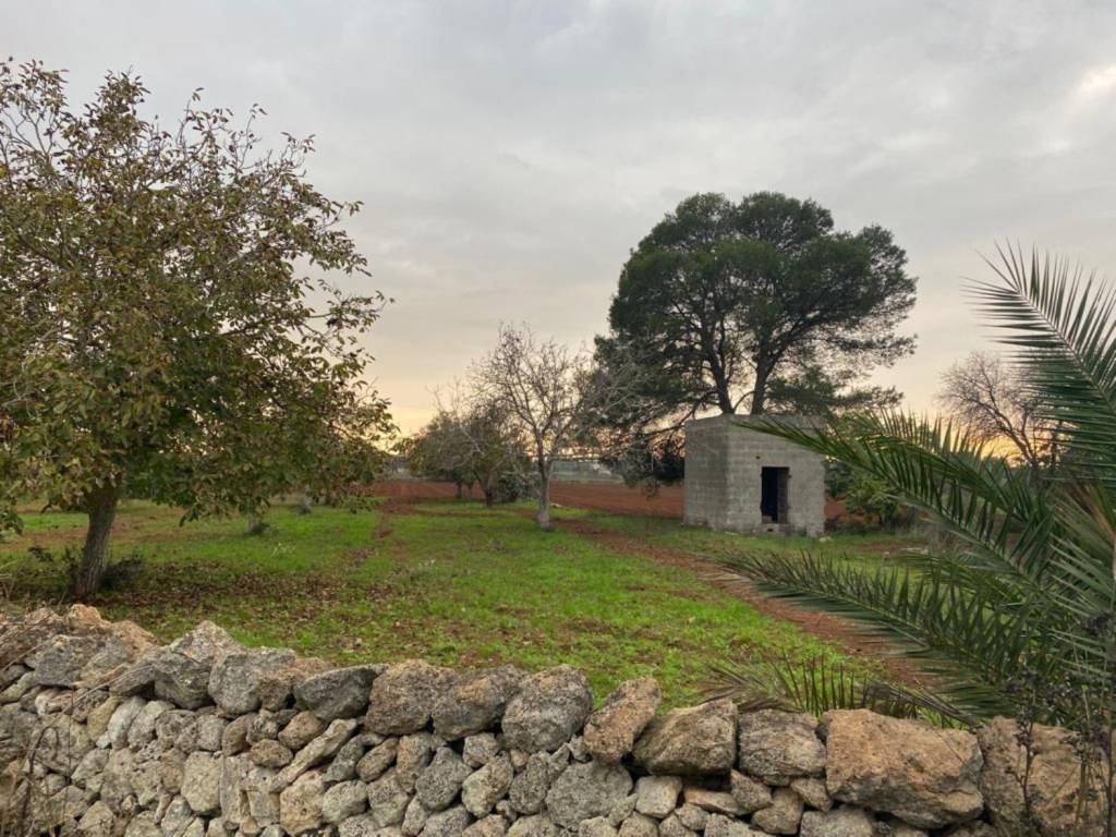 Terreno a Manduria in Strada vicinale santo Moro s.n.c - Foto 4