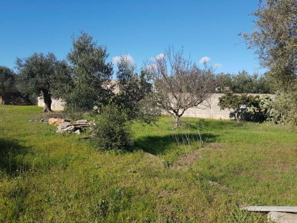 Terreno a Manduria in Strada Provinciale Manduria - Oria, 97 - Foto 2