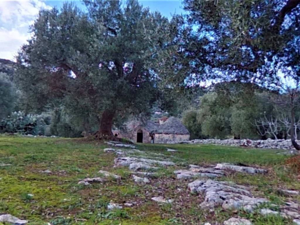 Appartamento a Fasano in Mercato Vecchio NYS3 - Foto 3