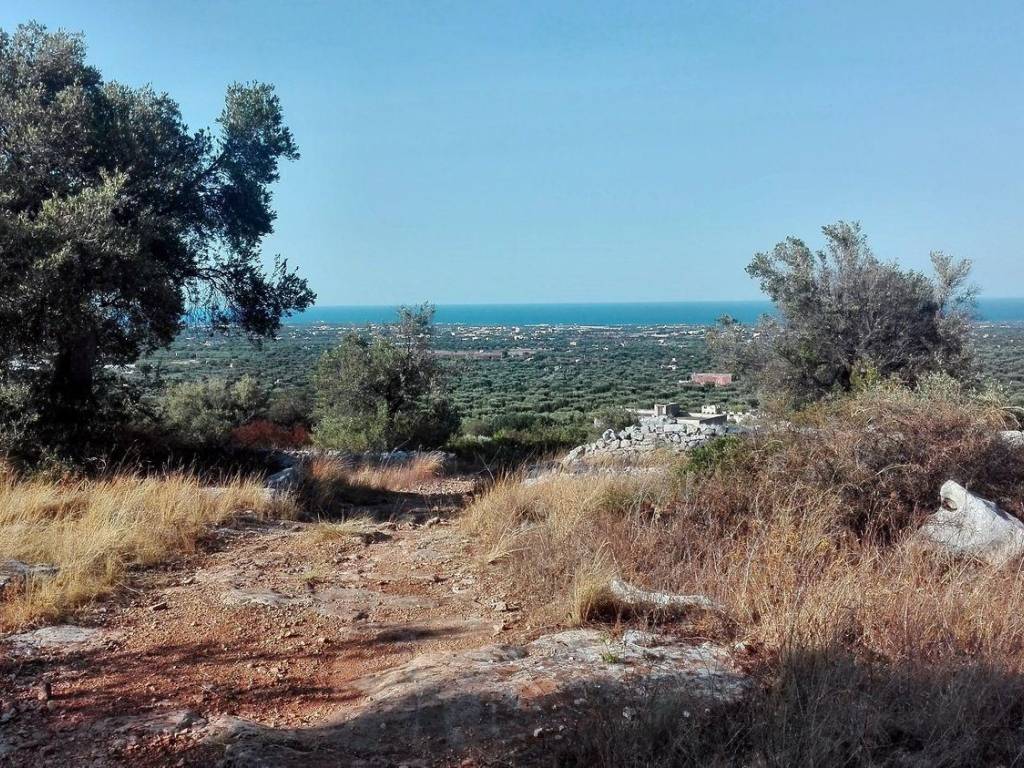 Appartamento a Fasano in FAS3 - Foto 2