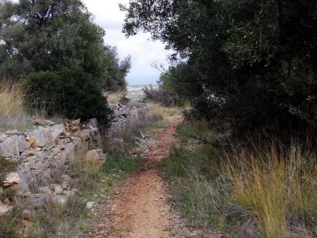 Appartamento a Fasano in FAS3 - Foto 5