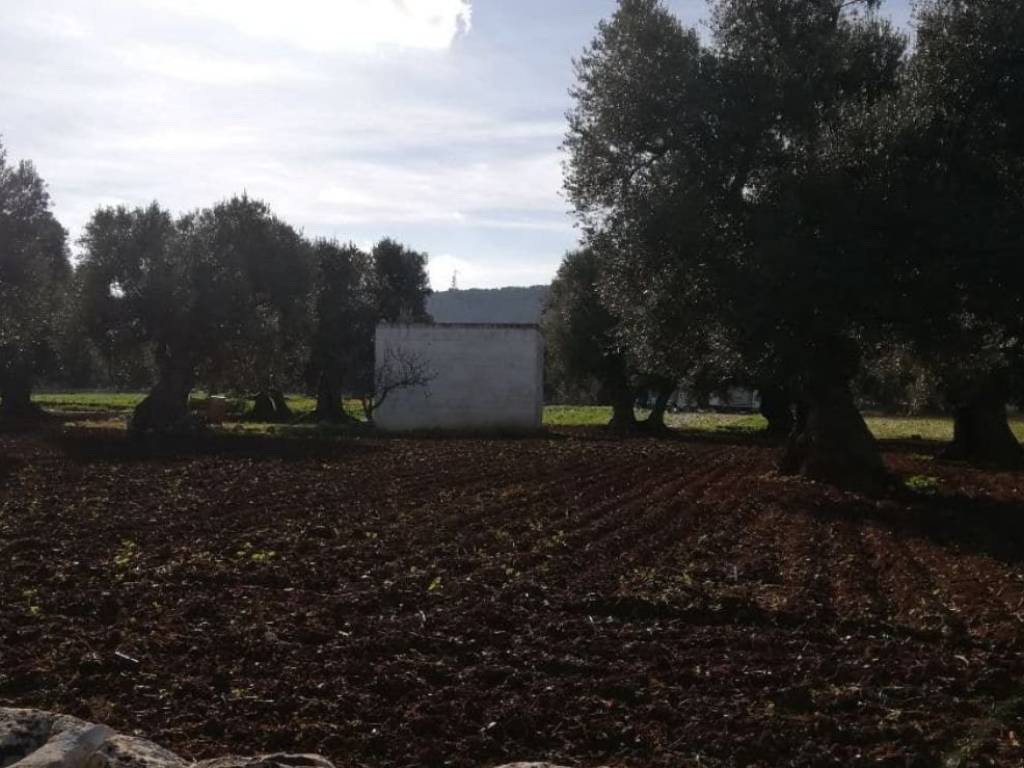 Rustico / casale a Fasano in Strada Comunale Martucci, 98 a - Foto 5