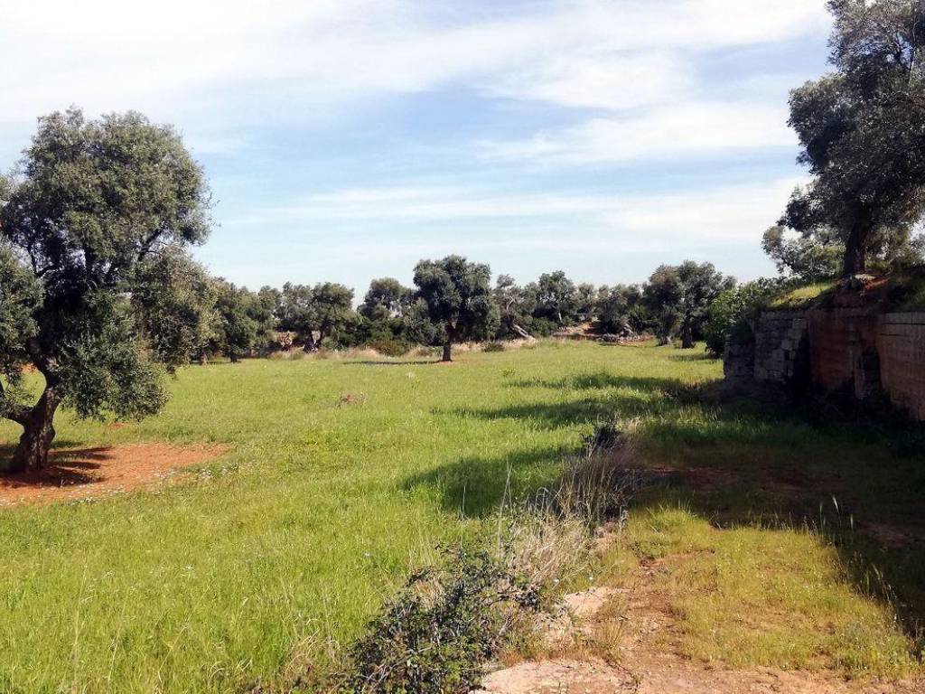 Terreno a Fasano in Strada Comunale San Marco - Foto 2