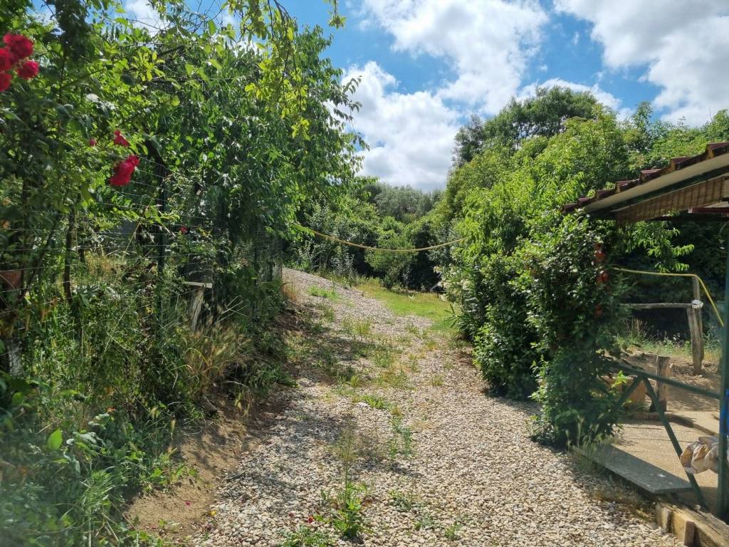 Terreno a Viterbo in Strada Tobia - Foto 4