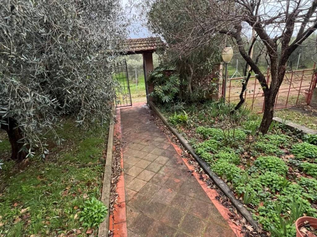 Rustico / casale a Campiglia marittima in Via Lavoriere - Foto 4