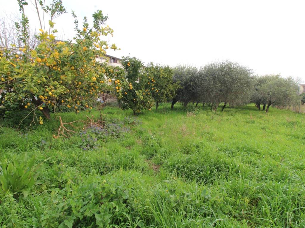 Terreno a Caserta in Vicolo Taverna, 4 - Foto 3