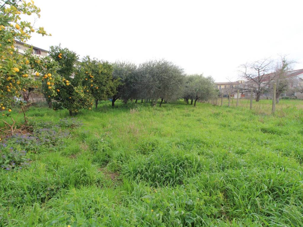 Terreno a Caserta in Vicolo Taverna, 4 - Foto 4