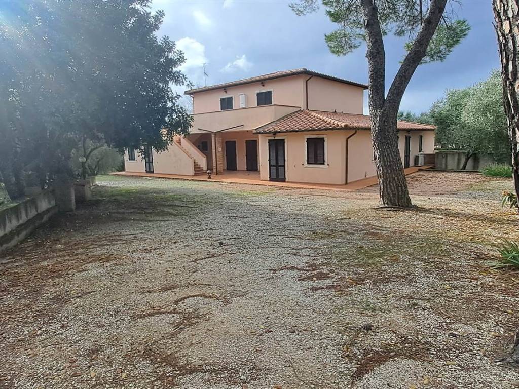 Immobile a Scansano in SP9 - Foto 2