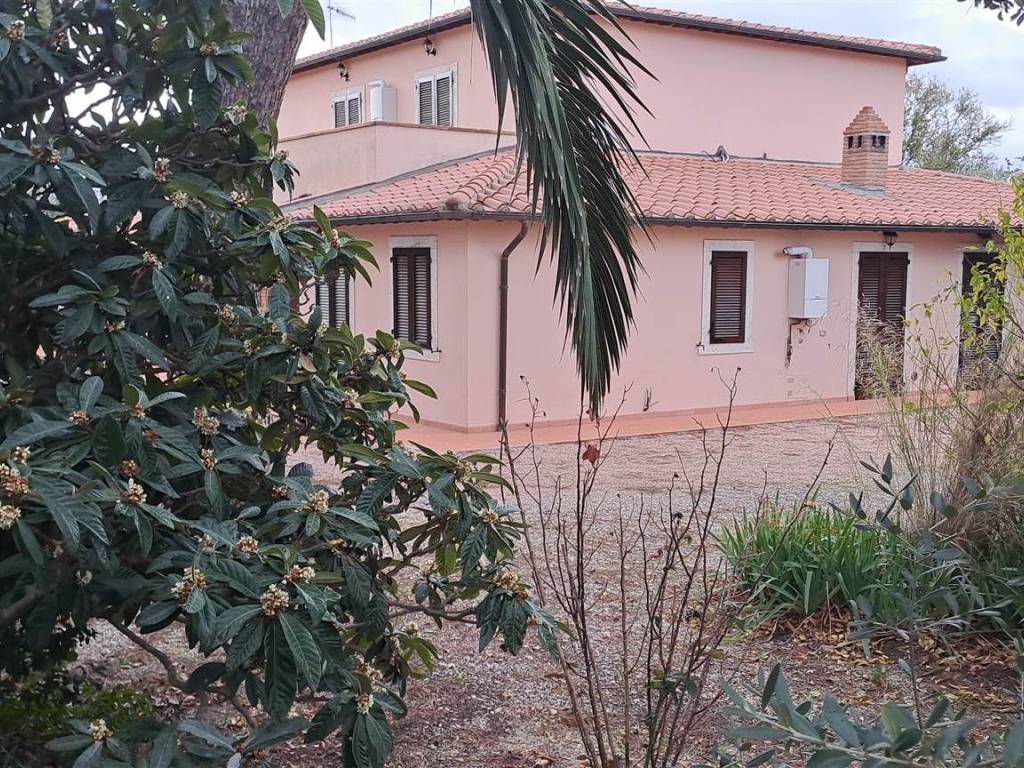 Immobile a Scansano in SP9 - Foto 4