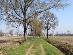 Appartamento a Lodi in Via del Pulignano - Foto 2