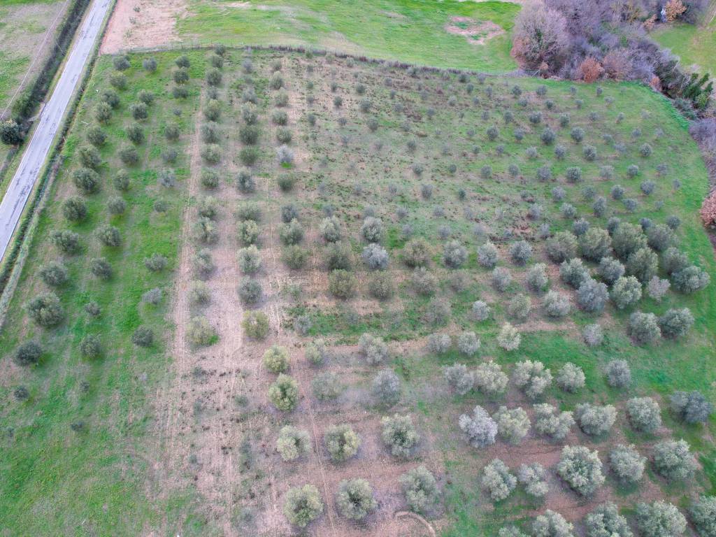Terreno a Montalto di castro in Strada Provinciale Pescia Romana - Foto 3