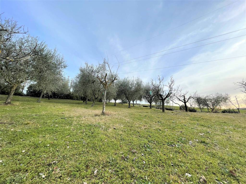 Rustico / casale a Trecastelli in Via Valliscie - Foto 2