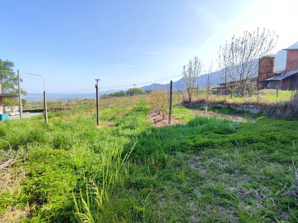 Rustico / casale a Envie in Via Comba Garitta, 32 - Foto 4