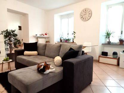 Villetta a schiera a Salussola in Via Elvo, 46 - Foto 3