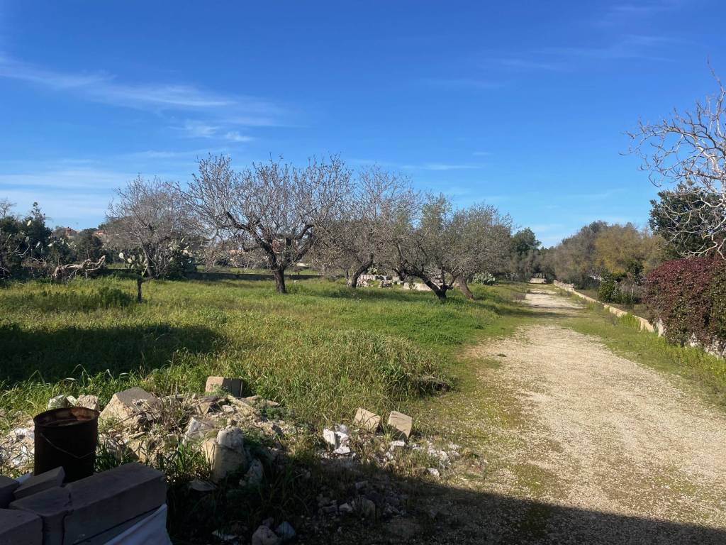 Terreno a Nardò in Via Benedetto Leuzzi, 88 - Foto 2