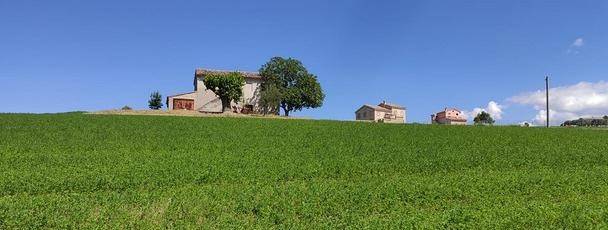 Rustico / casale a Recanati - Foto 2