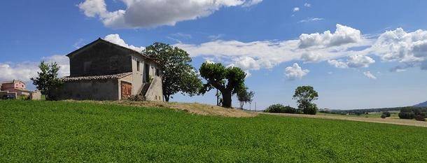 Rustico / casale a Recanati - Foto 3