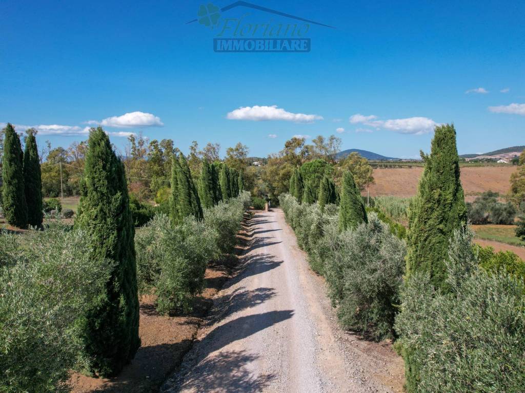 Villa a Montalto di castro in Località Cacciata Grande - Foto 4