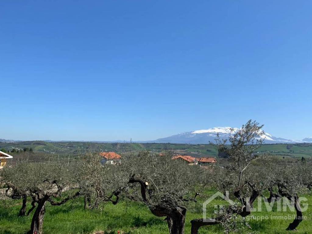 Terreno a Loreto aprutino in Contrada Paterno - Foto 5