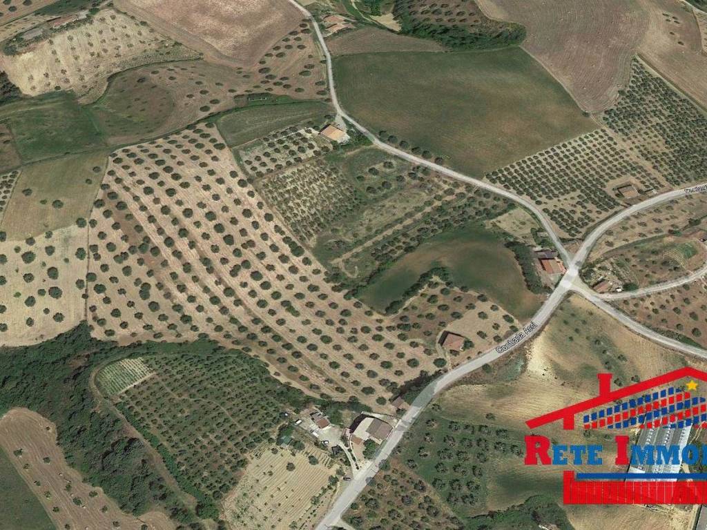 Terreno a Santa sofia d'epiro in località Acci - Foto 5