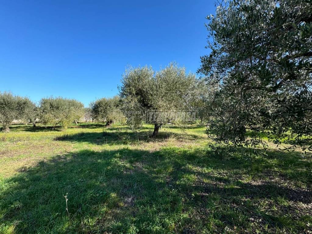 Terreno a Francavilla al mare in Via Foro, 128 - Foto 1
