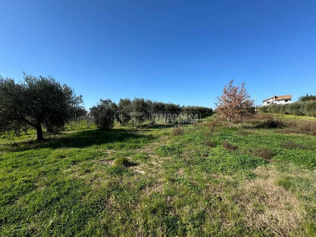 Terreno a Francavilla al mare in Via Foro, 128 - Foto 2