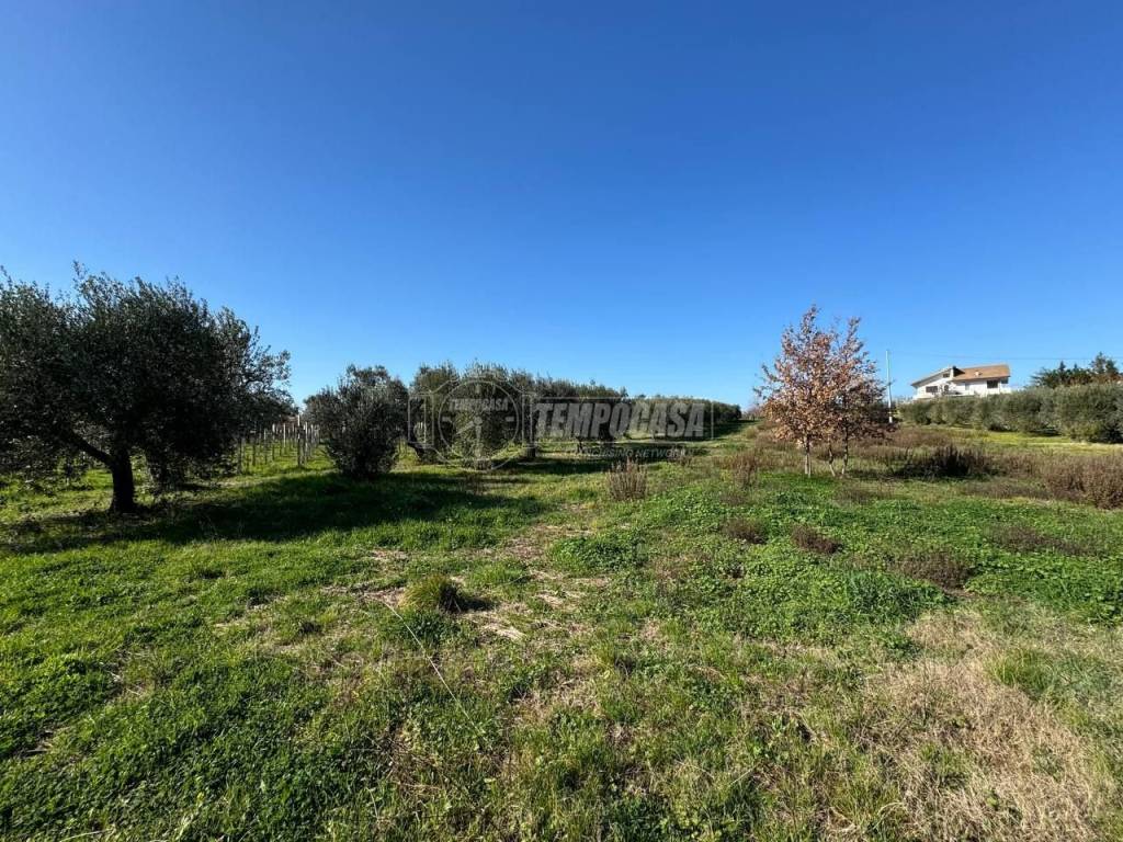 Terreno a Francavilla al mare in Via Foro, 128 - Foto 4