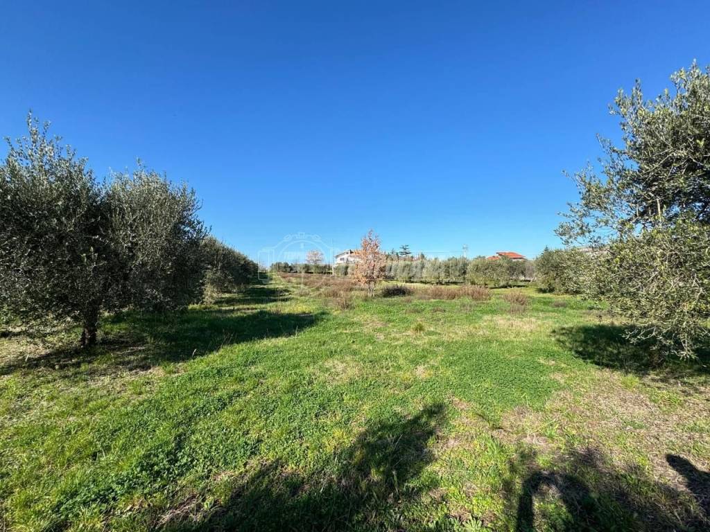 Terreno a Francavilla al mare in Via Foro, 128 - Foto 5