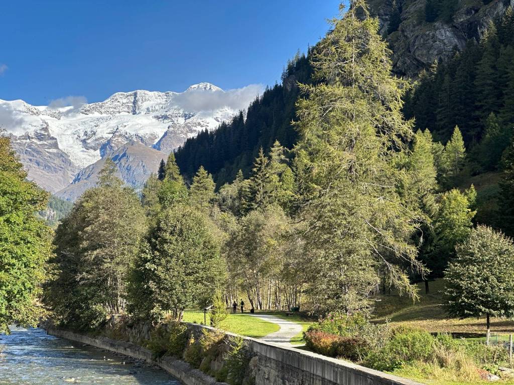 Villa a Gressoney-saint-jean in Località Villa Margherita - Foto 4