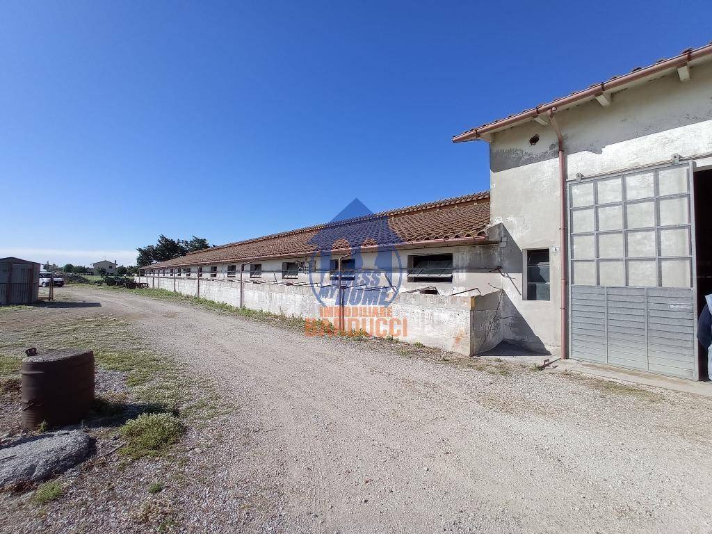 Immobile a Cervia - Foto 5