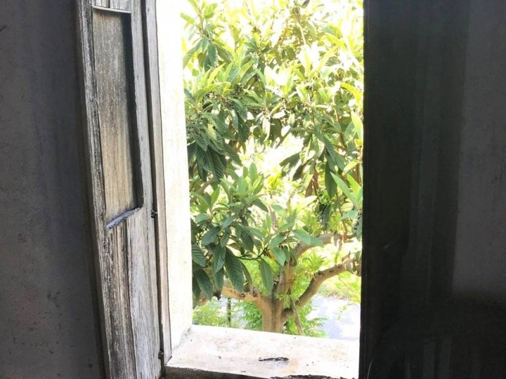 Rustico / casale a Belmonte calabro in LocalitÃ vadi, 1 - Foto 5