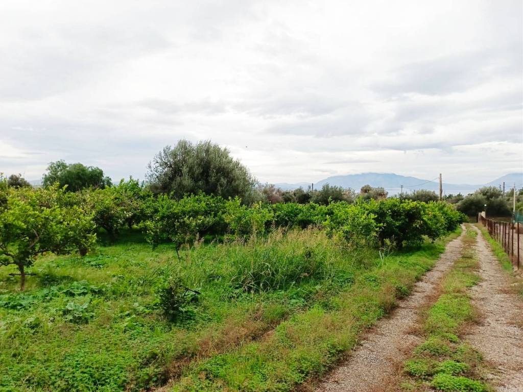 Villa a Terrasini in SP1bis - Foto 4