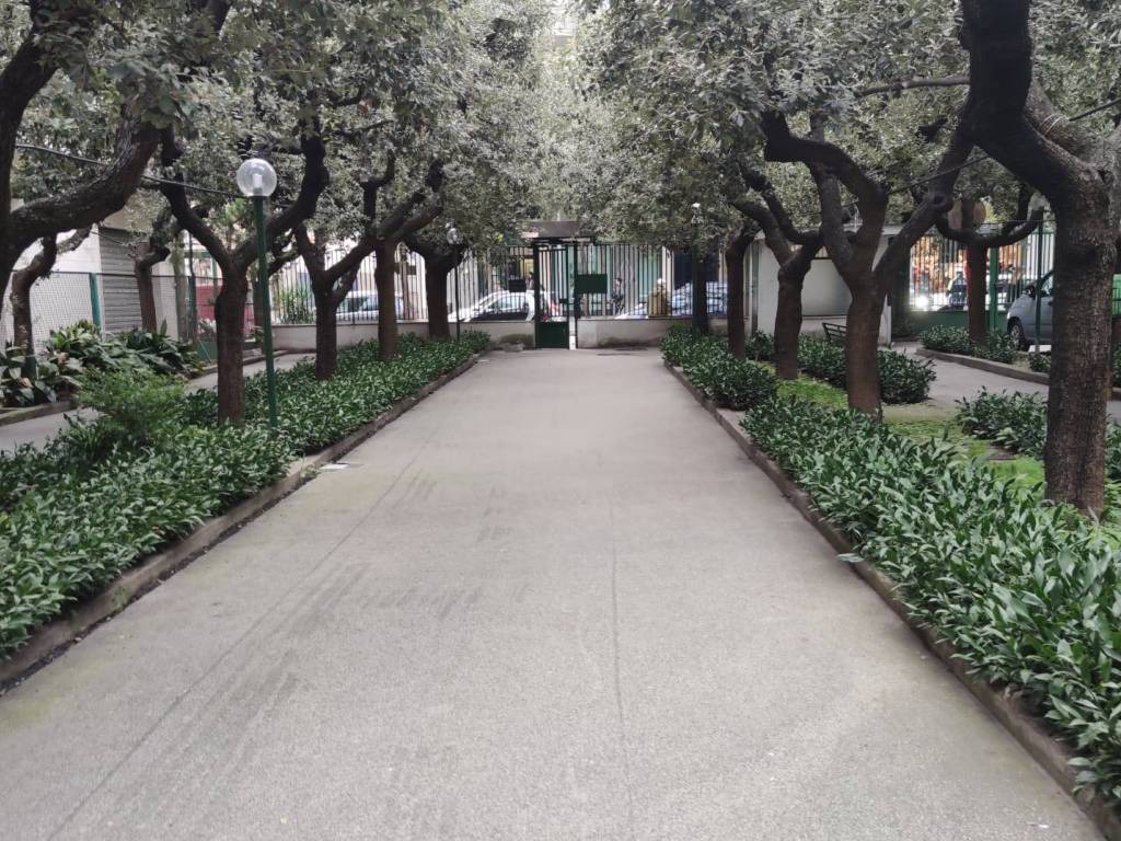 Appartamento a Cerignola in Corso Aldo Moro, 139 - Foto 2