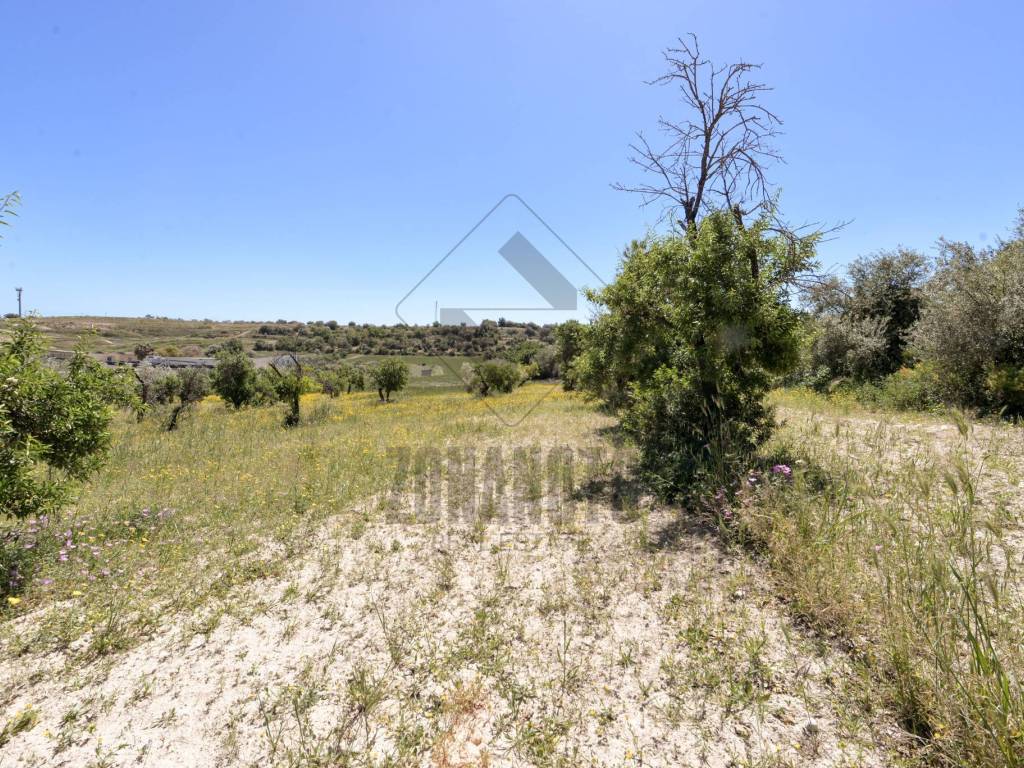 Terreno a Noto in Traversa Zupparda - Foto 5
