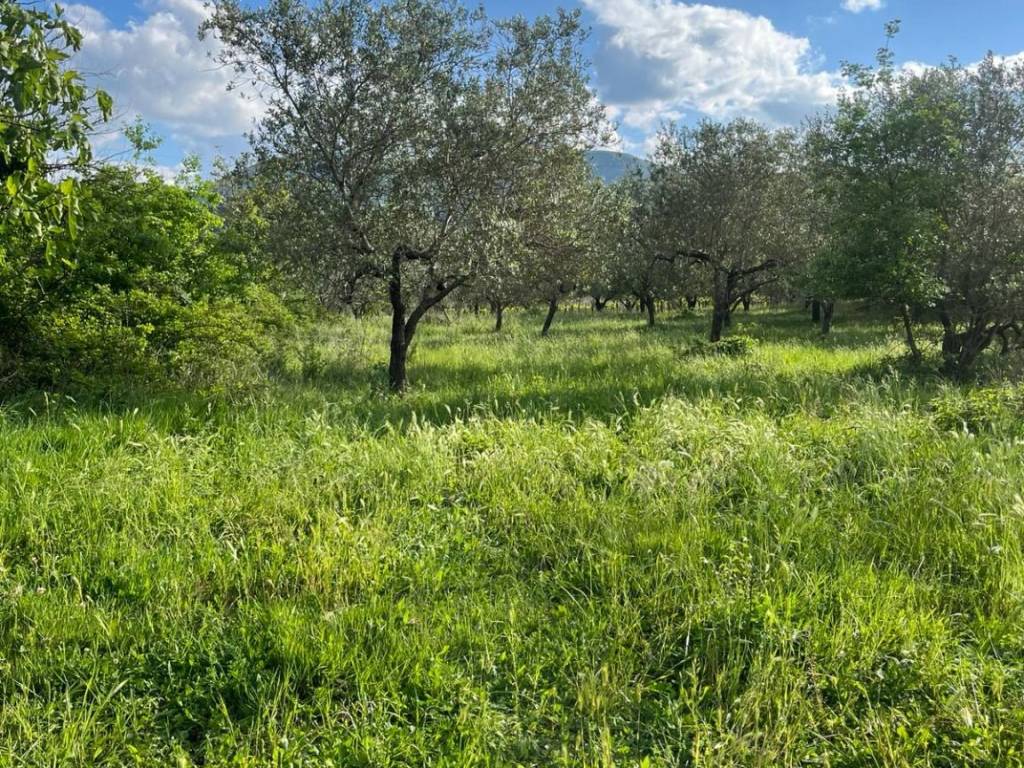 Terreno a Moiano in Via Tuoro - Foto 3