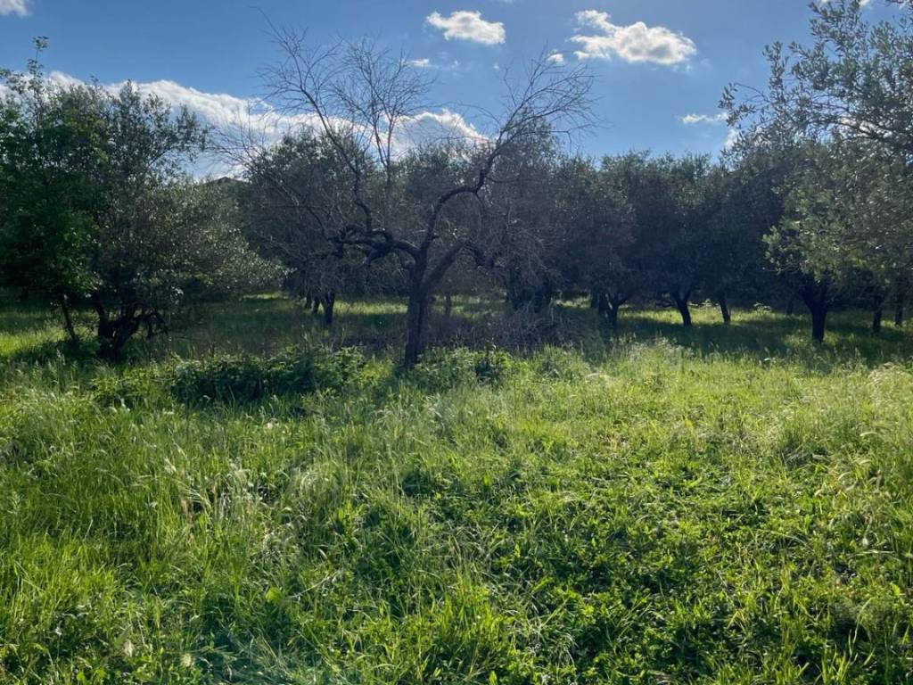 Terreno a Moiano in Via Tuoro - Foto 5