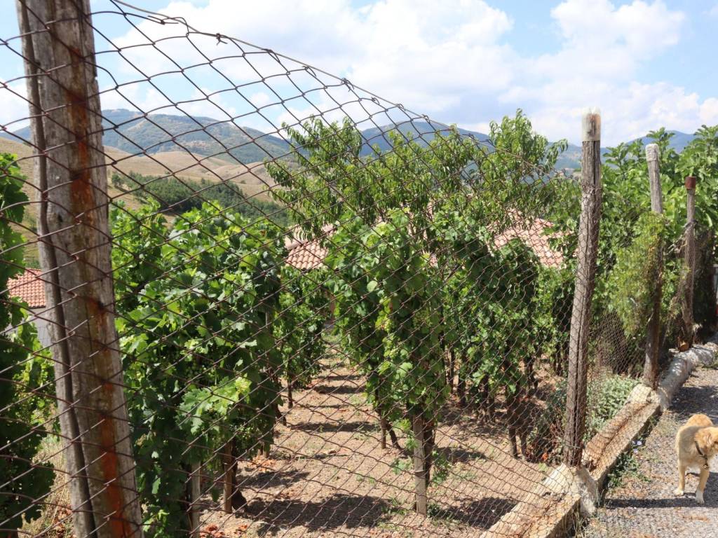 Villa a Marsico nuovo in Contrada San Vito - Foto 3