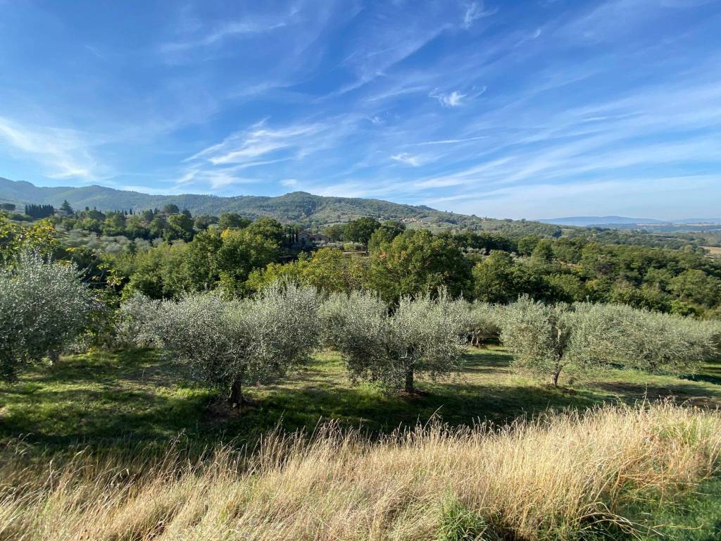 Terreno a Paciano in Località Pietreto - Foto 2
