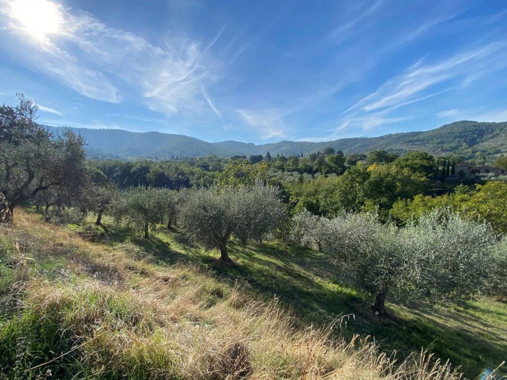 Terreno a Paciano in Località Pietreto - Foto 5