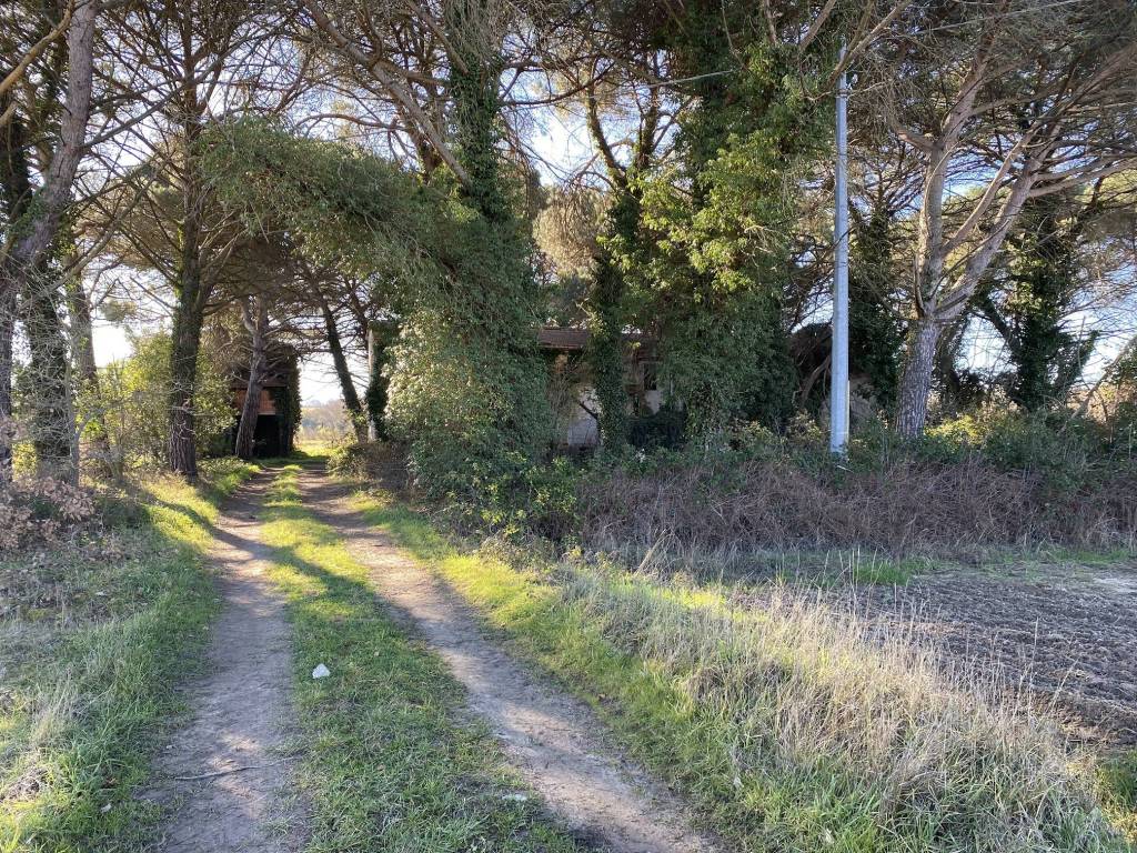 Rustico / casale a Castiglione del lago in Località Cascina - Foto 2