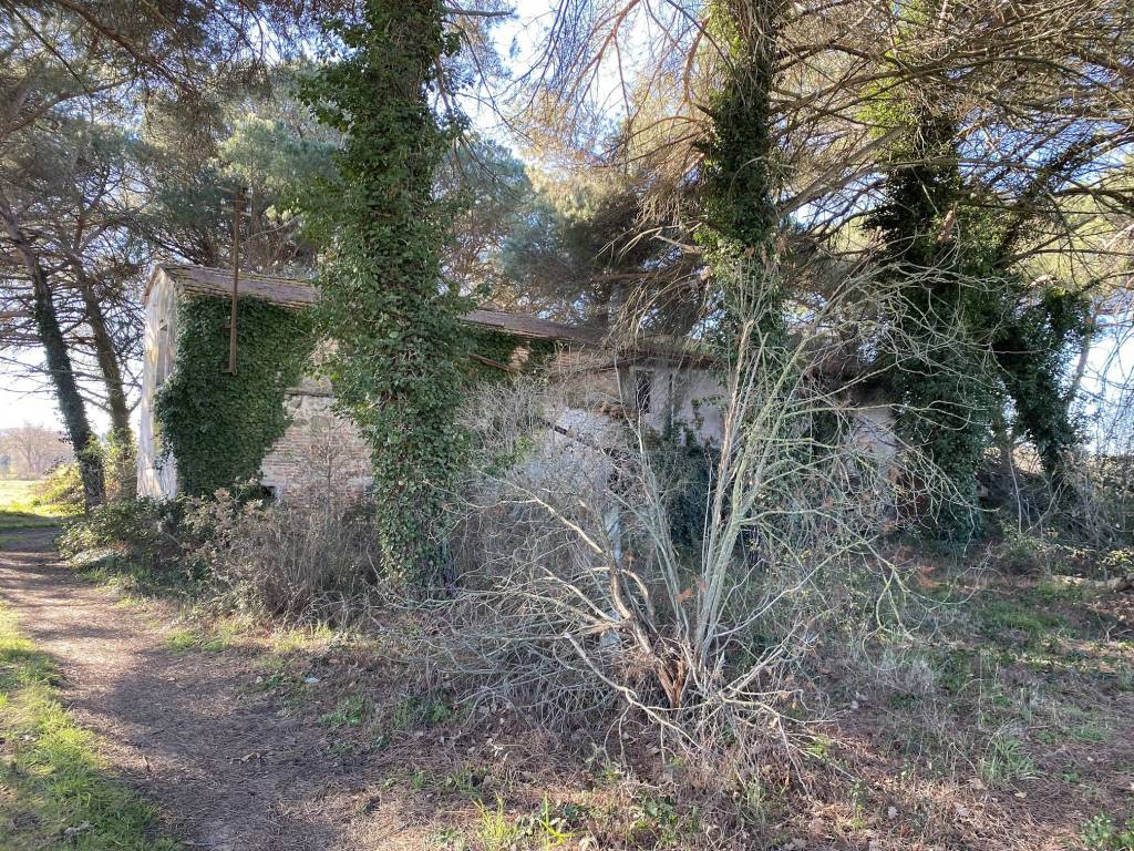 Rustico / casale a Castiglione del lago in Località Cascina - Foto 3