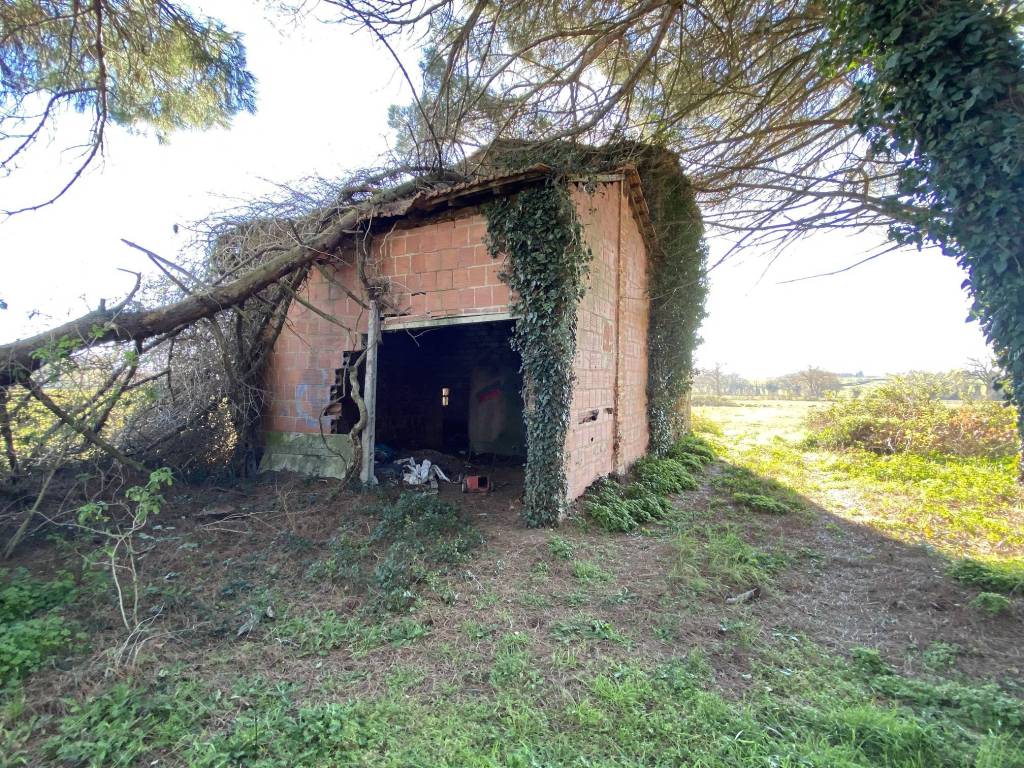 Rustico / casale a Castiglione del lago in Località Cascina - Foto 4