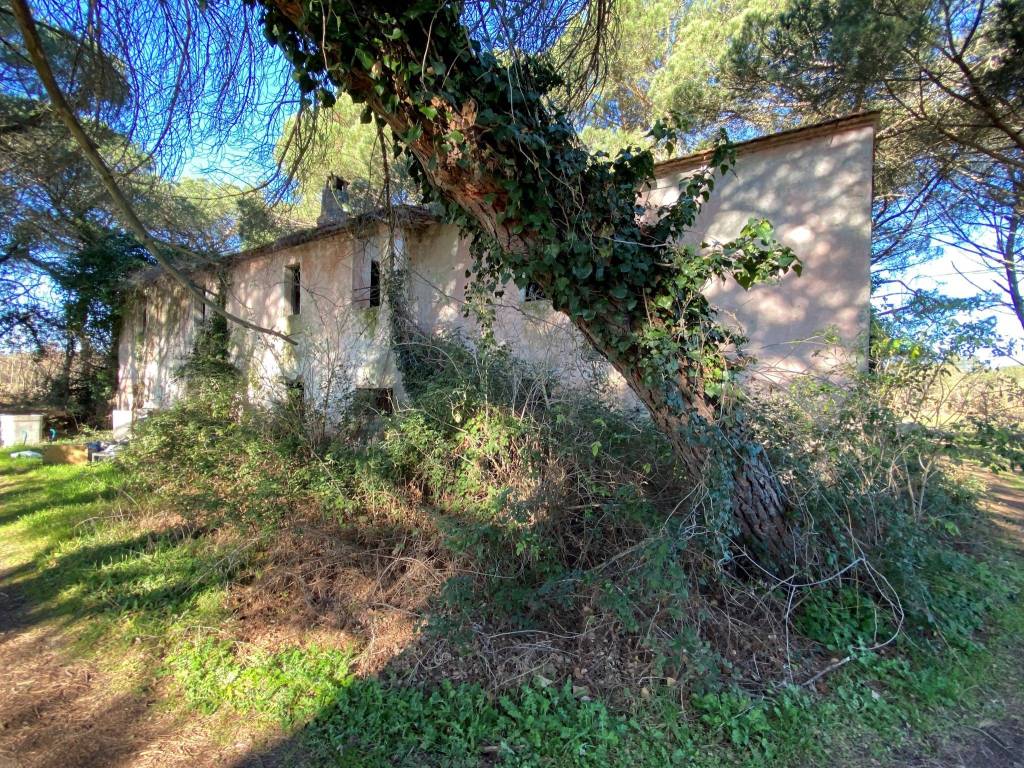 Rustico / casale a Castiglione del lago in Località Cascina - Foto 5