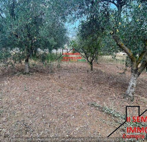 Villetta a schiera a Partinico - Foto 2
