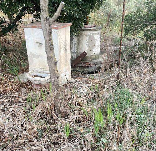 Villa a Partinico - Foto 3