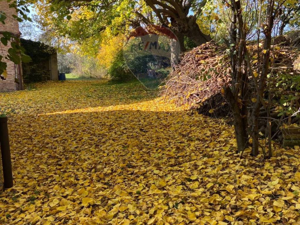 Rustico / casale a Polverigi - Foto 3